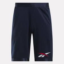 BB BASKETBALL MESH SHORT - VECTOR NAVY