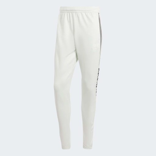 TIRO WORDMARK PANTS  - Crystal Jade