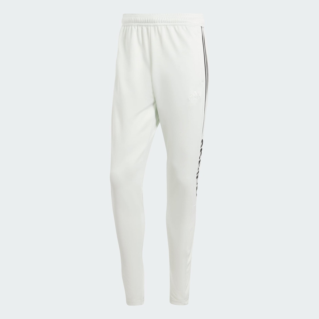 TIRO WORDMARK PANTS  - Crystal Jade