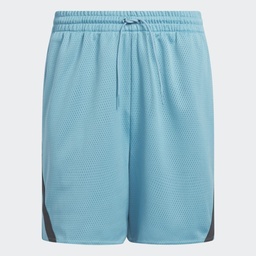 SELECT SUMMER SHORTS - Preloved Blue / Carbon