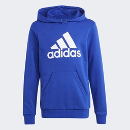 BIG LOGO ESSENTIALS COTTON HOODIE - Semi Lucid Blue / White