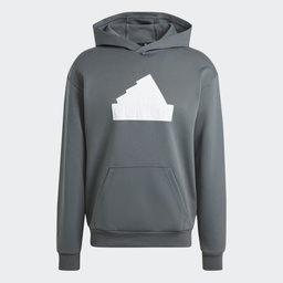 FUTURE ICONS BOS HOODIE  - Legend Ivy